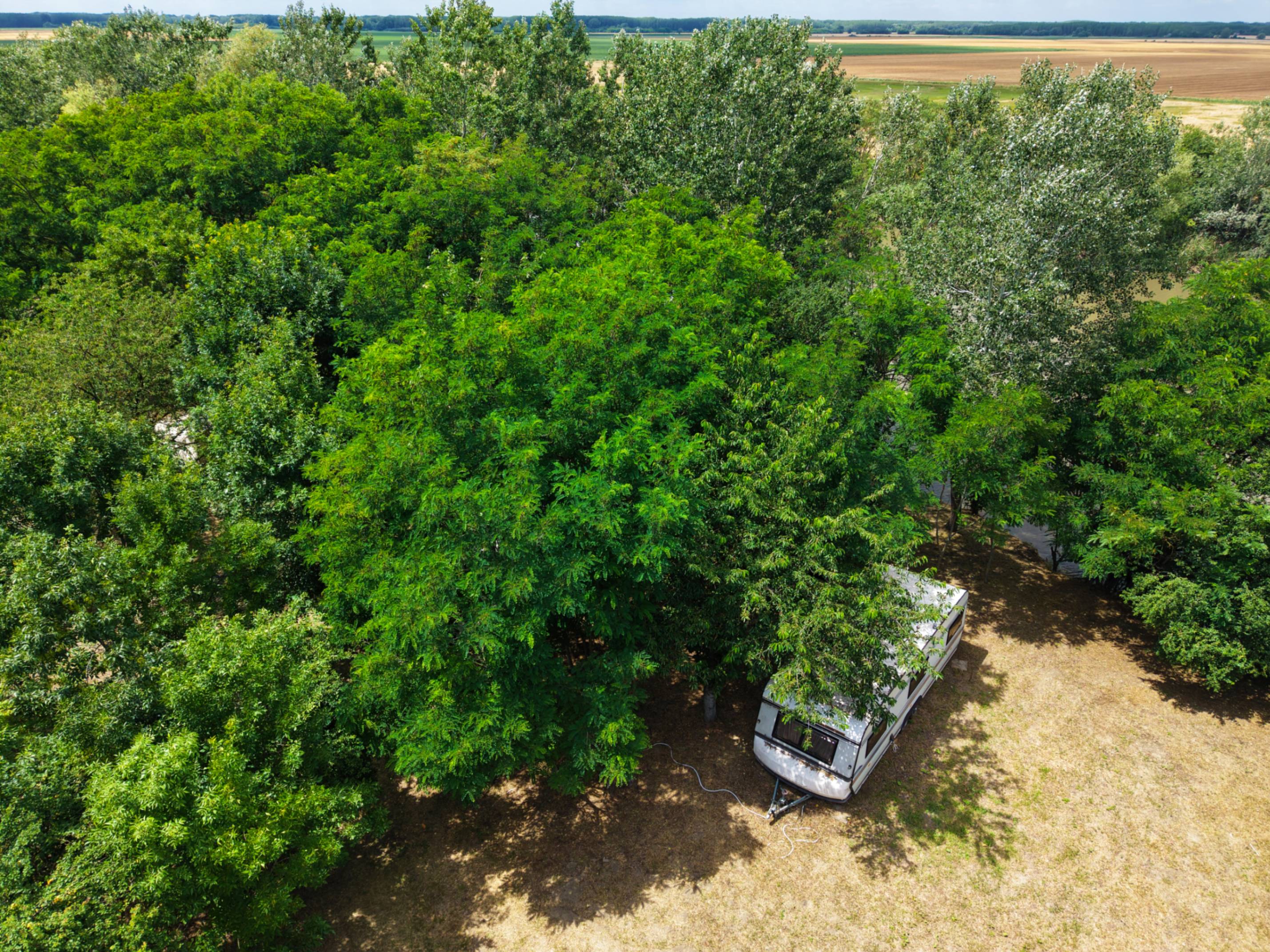 Hacienda Caravan a fák között, légifelvétel